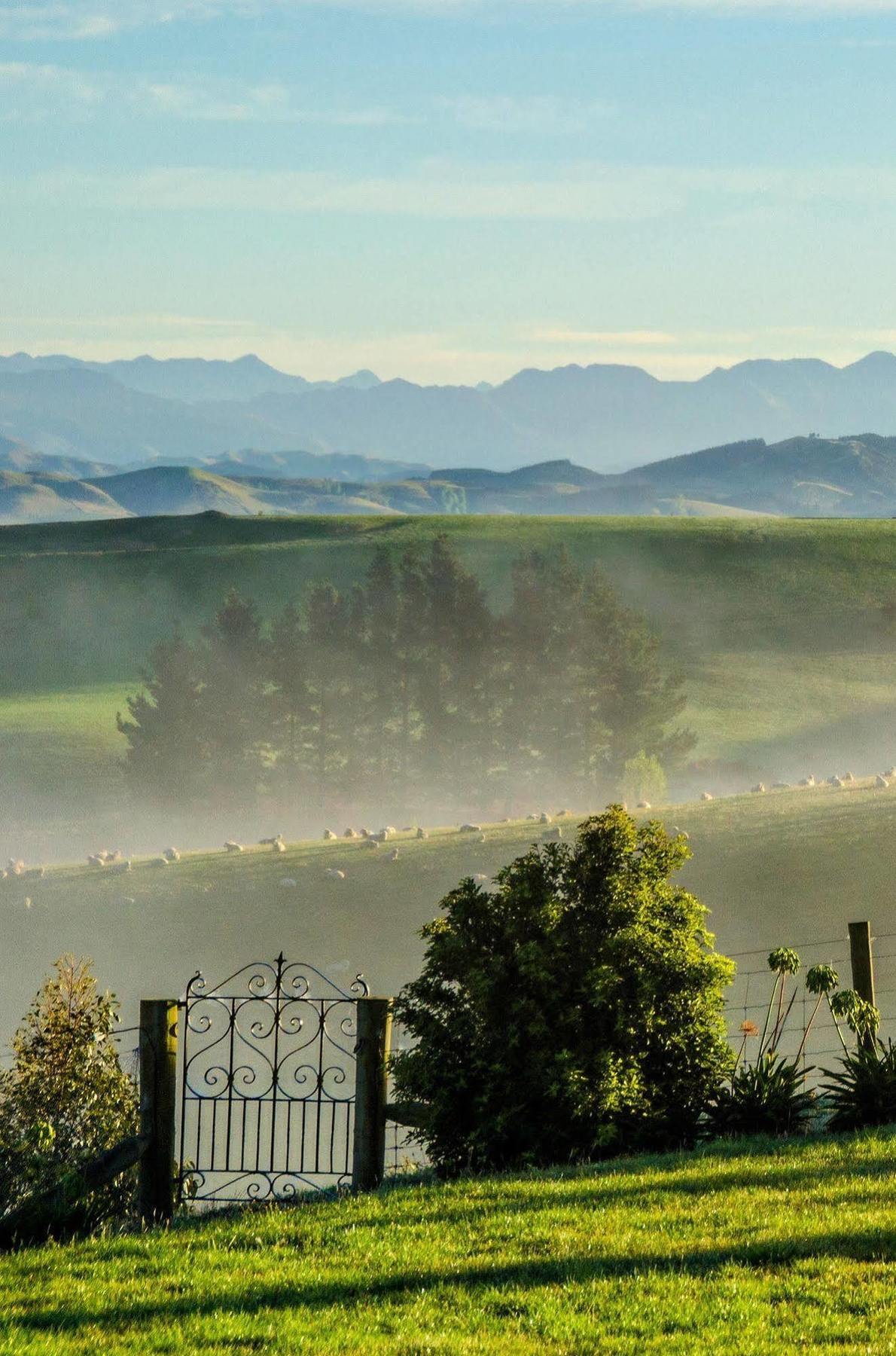 Ribbonwood Country House Cheviot Εξωτερικό φωτογραφία